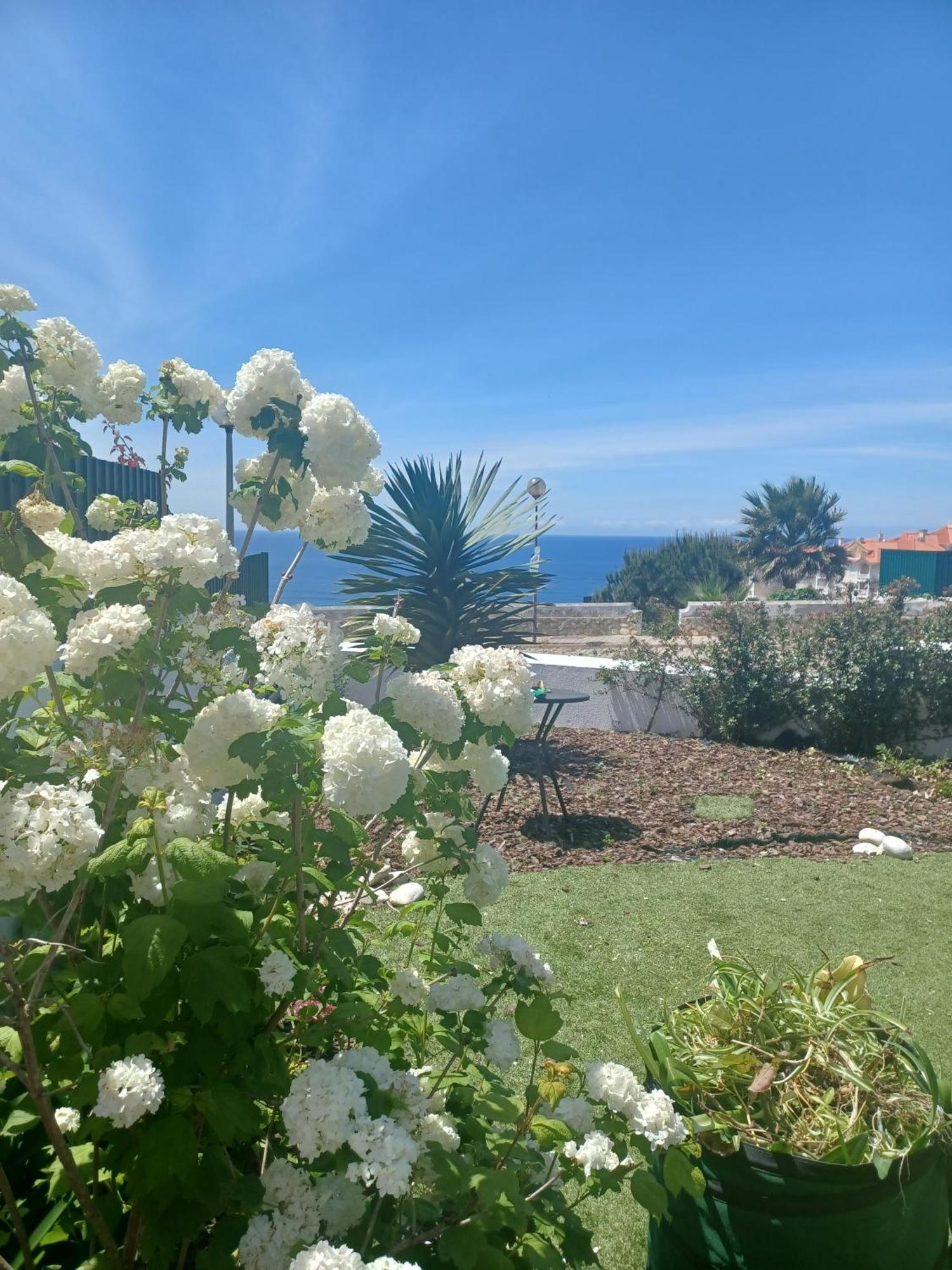 Ericeira Su Villa'S المظهر الخارجي الصورة