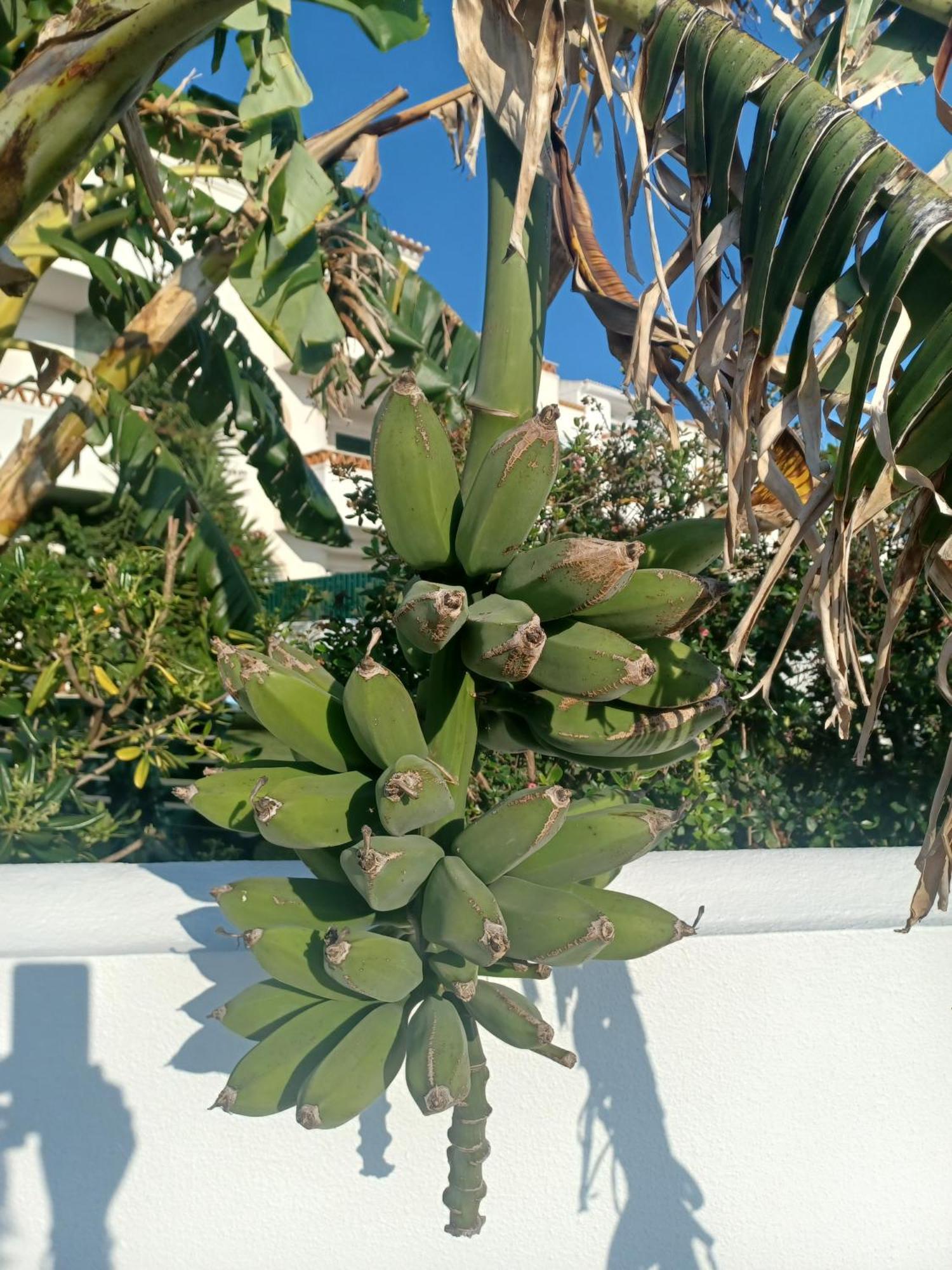 Ericeira Su Villa'S المظهر الخارجي الصورة