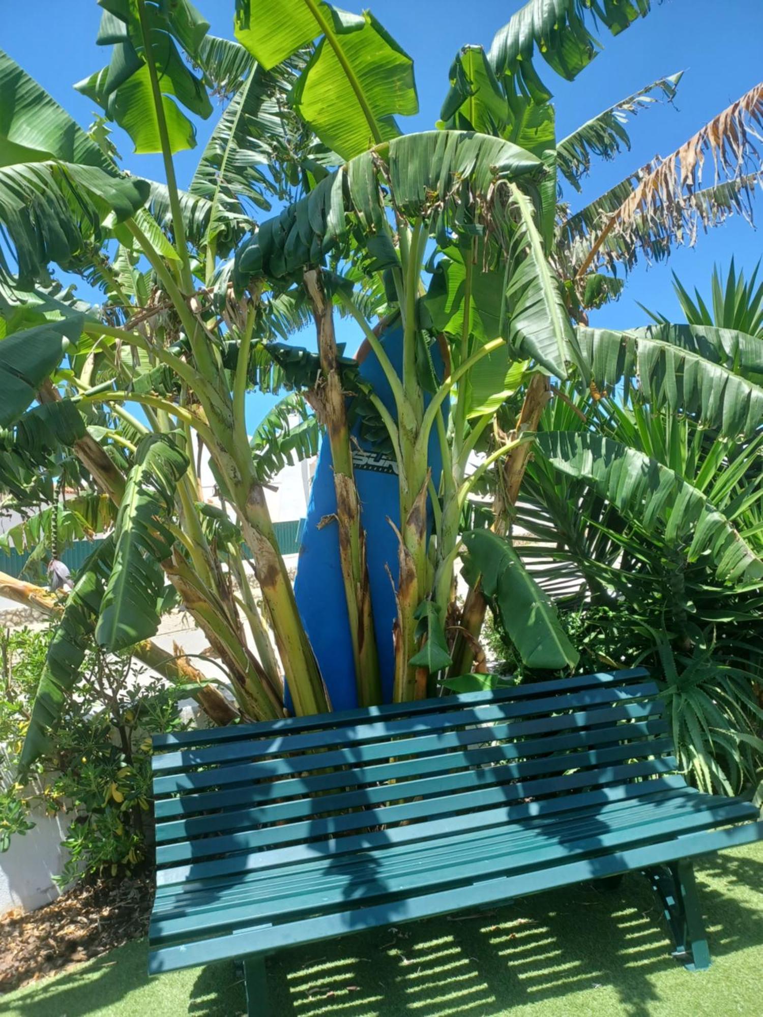 Ericeira Su Villa'S المظهر الخارجي الصورة